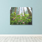 USA, Kalifornien, Redwood NP. Rhododendron Leinwanddruck (Insitu (Holzboden))