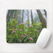 USA, Kalifornien, Redwood NP. Rhododendron Mousepad (Mit Mouse)