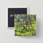 USA, Kalifornien, San Diego. Ein verbrannter Eiche Button (Vorne & Hinten)