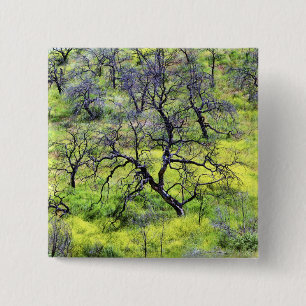 USA, Kalifornien, San Diego. Ein verbrannter Eiche Button