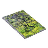 USA, Kalifornien, San Diego. Ein verbrannter Eiche Notizblock (Rechte Seite)