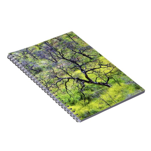 USA, Kalifornien, San Diego. Ein verbrannter Eiche Notizblock (Rechte Seite)