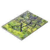 USA, Kalifornien, San Diego. Ein verbrannter Eiche Notizblock (Linke Seite)