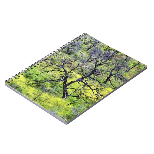 USA, Kalifornien, San Diego. Ein verbrannter Eiche Notizblock (Linke Seite)