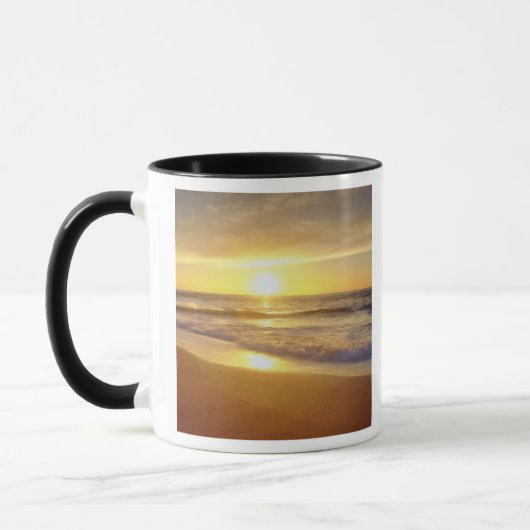 USA, Kalifornien, San Diego. La Jolla-Küste Tasse (Links)
