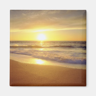 USA, Kalifornien, San Diego. La Jolla Shores Magnet