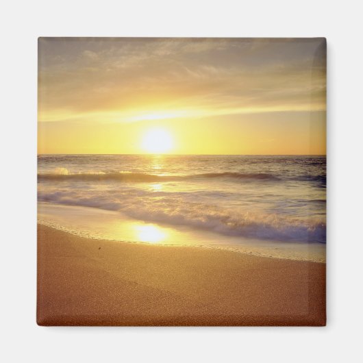 USA, Kalifornien, San Diego. La Jolla Shores Magnet (Vorne)