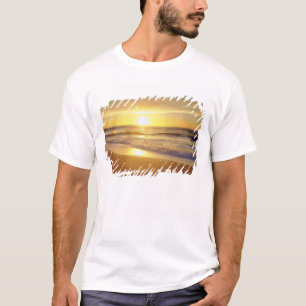 USA, Kalifornien, San Diego. La Jolla Shores T-Shirt