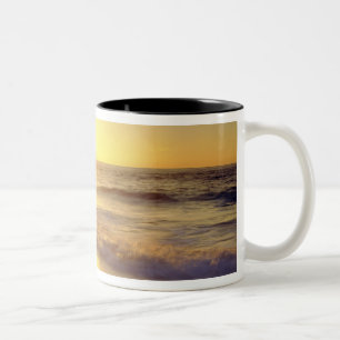 USA, Kalifornien, San Diego. La Jolla Shores Zweifarbige Tasse