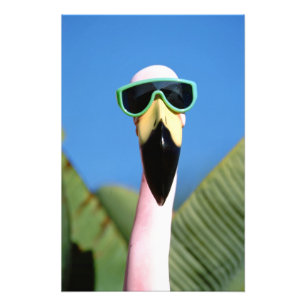 USA, Kalifornien, San Diego. See Fotodruck