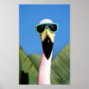 USA, Kalifornien, San Diego. See Poster