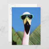 USA, Kalifornien, San Diego. See Postkarte (Vorne/Hinten)