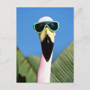 USA, Kalifornien, San Diego. See Postkarte