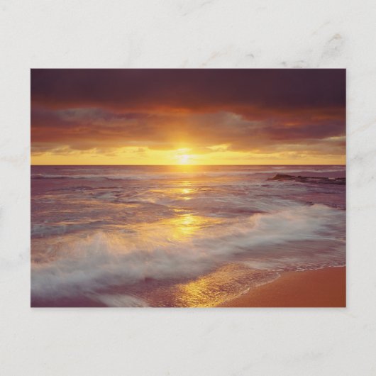 USA, Kalifornien, San Diego. Sunset Cliffs Beach Postkarte (Vorderseite)