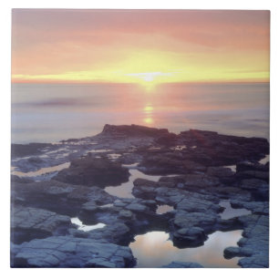 USA, Kalifornien, San Diego. Sunset Cliffs Gezeite Fliese