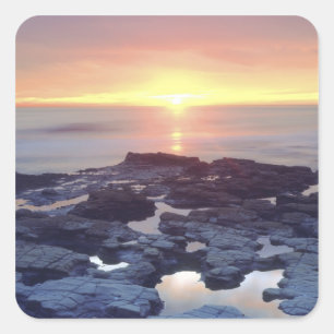 USA, Kalifornien, San Diego. Sunset Cliffs Gezeite Quadratischer Aufkleber