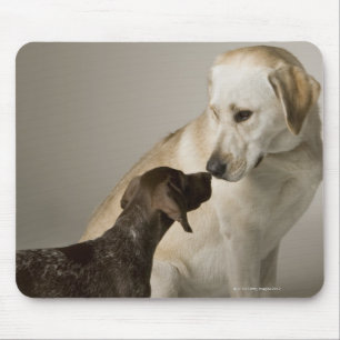 USA, Kalifornien, San Francisco Mousepad