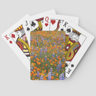USA, Kalifornien, Santa Margarita, Avenales Spielkarten