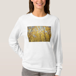 USA, Kalifornien, Sierra Nevada-Gebirge. Herbst T-Shirt