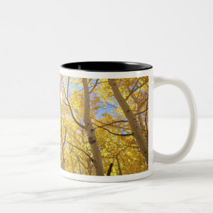 USA, Kalifornien, Sierra Nevada-Gebirge. Herbst Zweifarbige Tasse