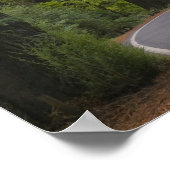 USA, Kalifornien, Straße durch Redwood-Wald 2 Poster (Ecke)