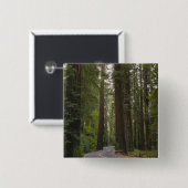 USA, Kalifornien, Straße durch Rotholzwald 2 Button (Vorne & Hinten)
