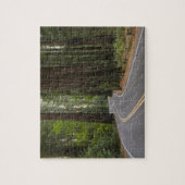 USA, Kalifornien, Straße durch Rotholzwald Puzzle (Vertikal)