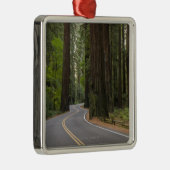 USA, Kalifornien, Straße durch Rotholzwald Silbernes Ornament (Rechts)