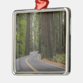 USA, Kalifornien, Straße durch Rotholzwald Silbernes Ornament (Links)