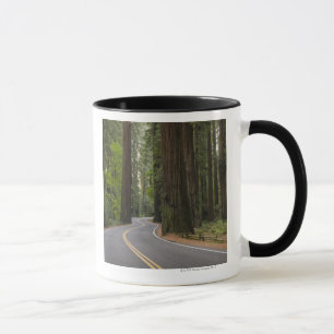 USA, Kalifornien, Straße durch Rotholzwald Tasse