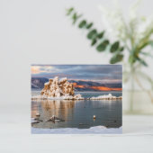 USA, Kalifornien, Sunrise am Mono Lake Postkarte (Stehend Vorderseite)