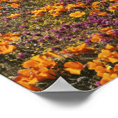 USA, Kalifornien, Tehachapi-Berge, 2 Poster (Ecke)