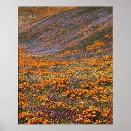 USA, Kalifornien, Tehachapi-Berge, 2 Poster (Vorne)