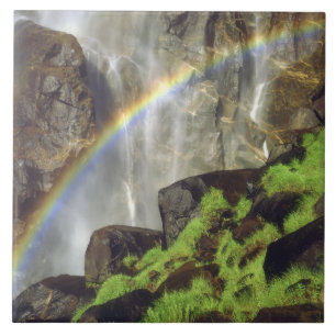 USA, Kalifornien, Yosemite National Park.A Fliese