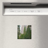 USA, Kalifornien, Yosemite National Park, El 4 Magnet (In Situ (Geschirrspüler))