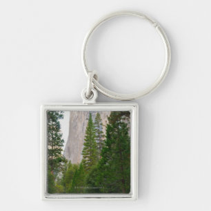 USA, Kalifornien, Yosemite Nationalpark, EL 4 Schlüsselanhänger
