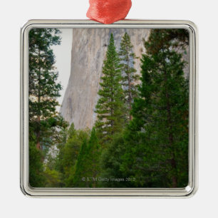 USA, Kalifornien, Yosemite Nationalpark, EL 4 Silbernes Ornament