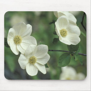 USA, Kalifornien, Yosemite NP, entlang Merced Mousepad