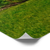 USA, Kansas. Alte rote Scheune Poster (Ecke)