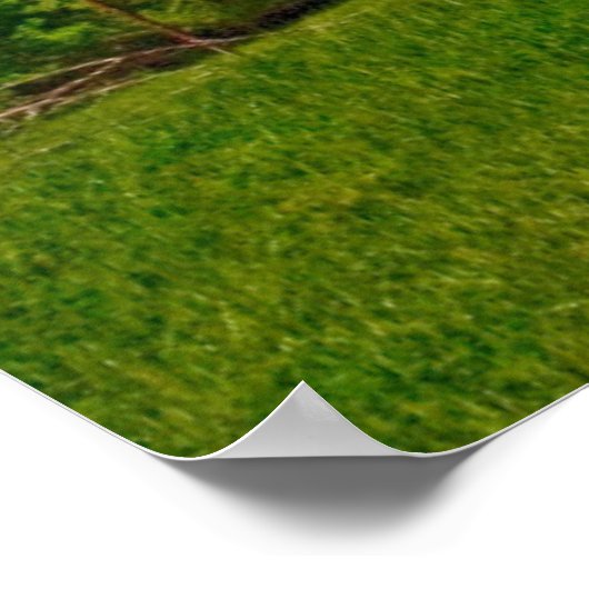 USA, Kansas. Alte rote Scheune Poster (Ecke)