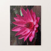 USA, Kansas, Bright Red Water Lilly Puzzle (Vertikal)