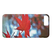 USA, Kansas.Herbstfarben Case-Mate iPhone Hülle (Rückseite (Horizontal))