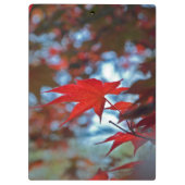 USA, Kansas.Herbstfarben Klemmbrett (Rückseite)