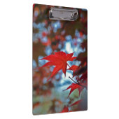 USA, Kansas.Herbstfarben Klemmbrett (Rechts)