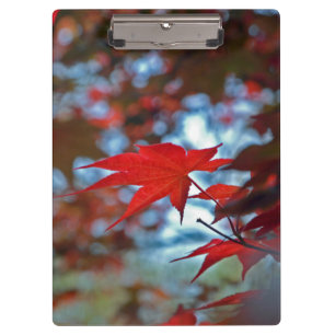 USA, Kansas. Herbstfarben Klemmbrett