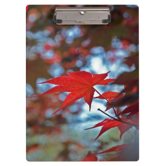 USA, Kansas.Herbstfarben Klemmbrett (Vorderseite)