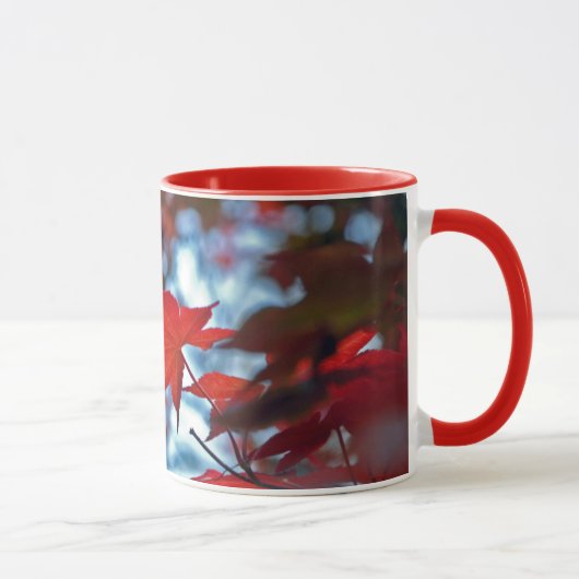 USA, Kansas.Herbstfarben Tasse (Rechts)