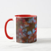 USA, Kansas.Herbstfarben Tasse (Links)