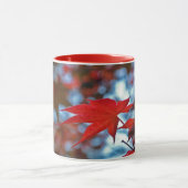 USA, Kansas.Herbstfarben Tasse (Zentrum)