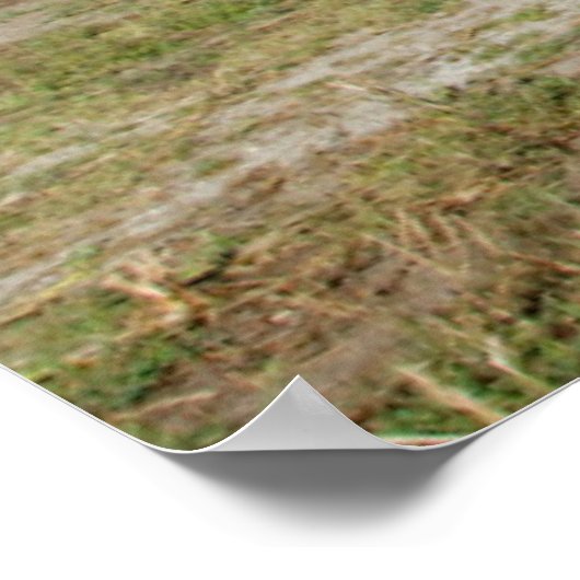 USA, Kansas, Old Red Barn Poster (Ecke)